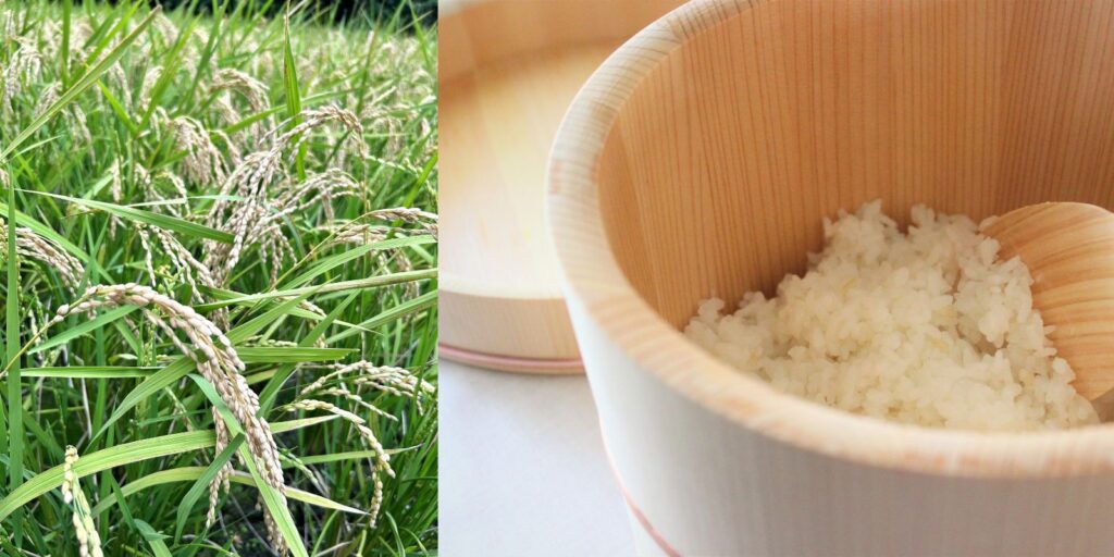 稲と米