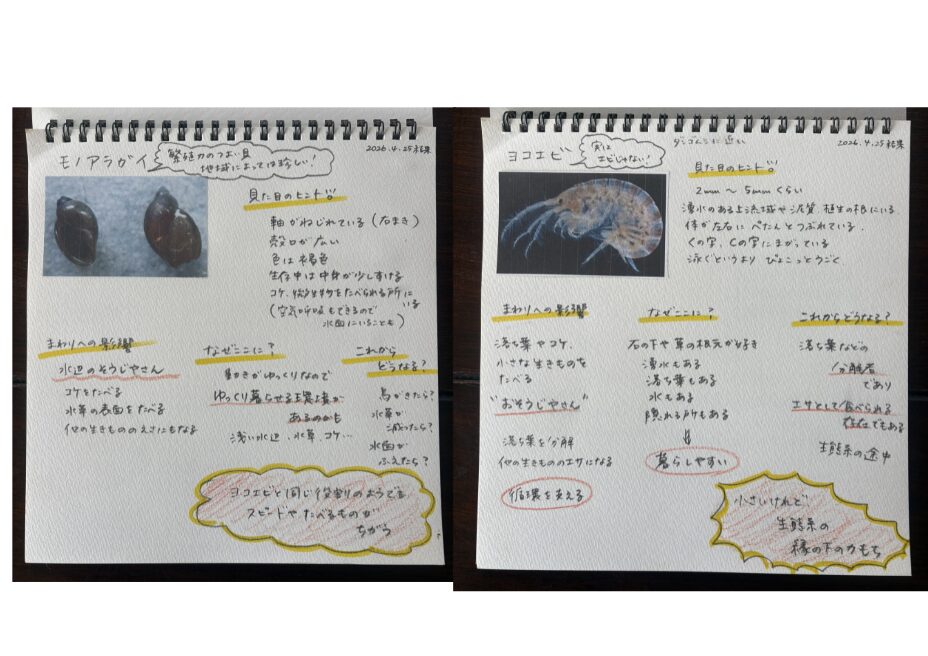 ミニ図鑑