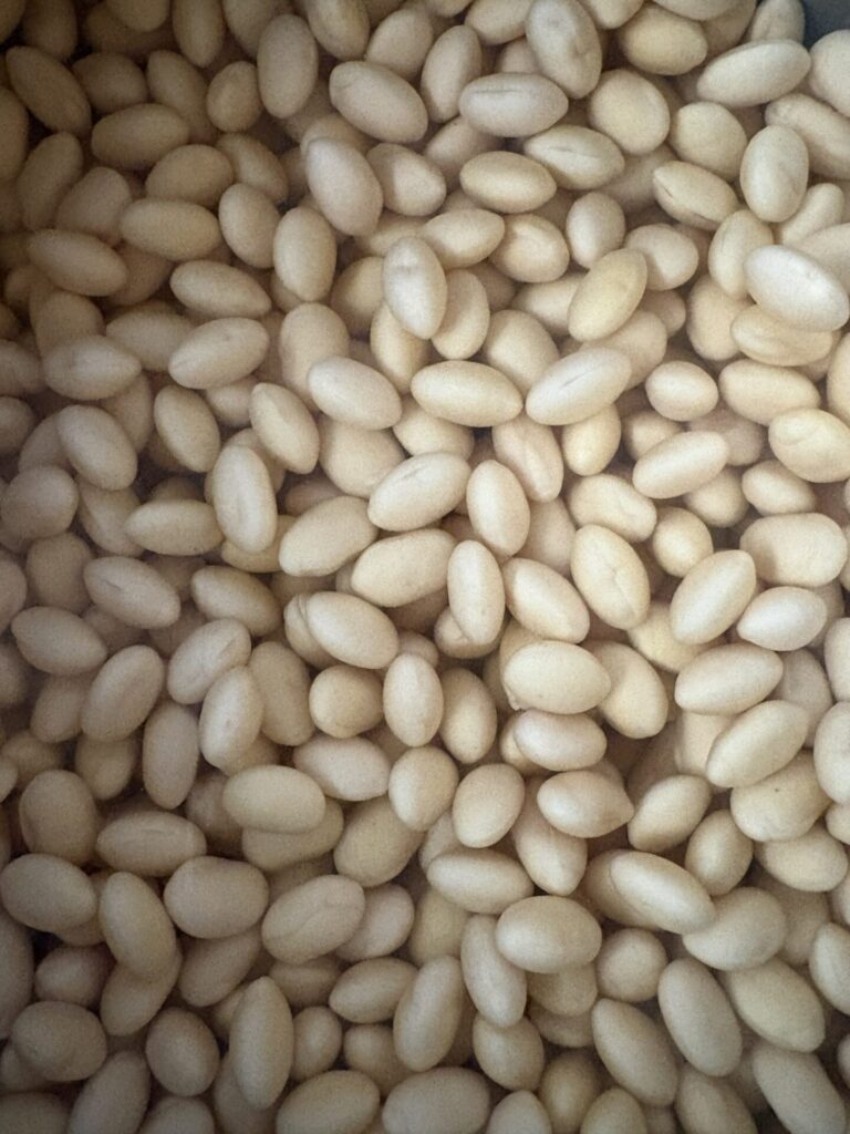 茹で大豆