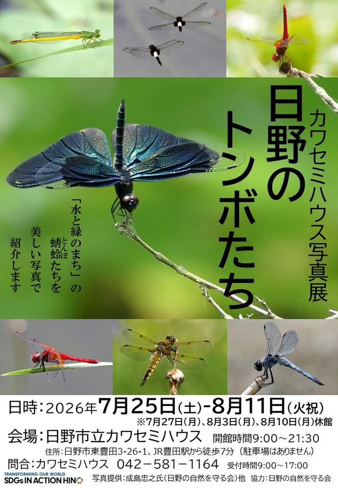 チラシ