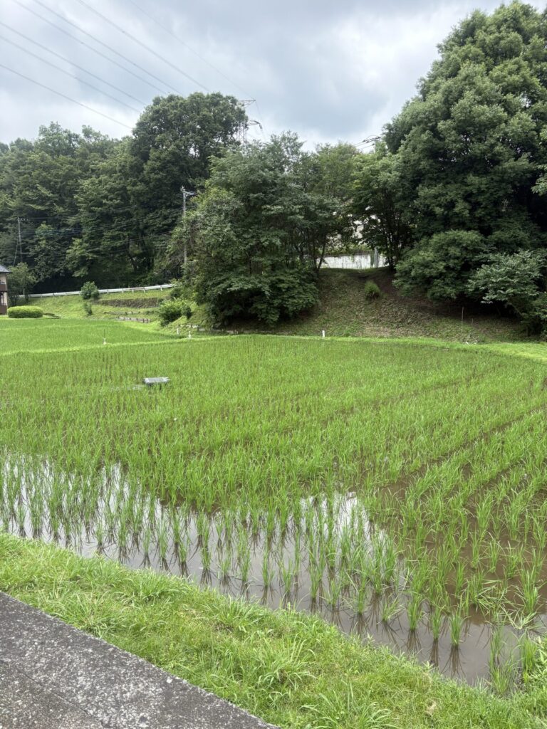 石坂ファーム　アイガモロボ