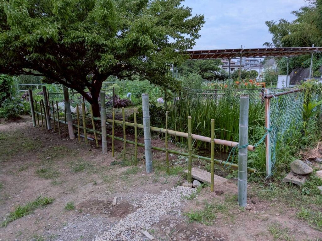 竹柵