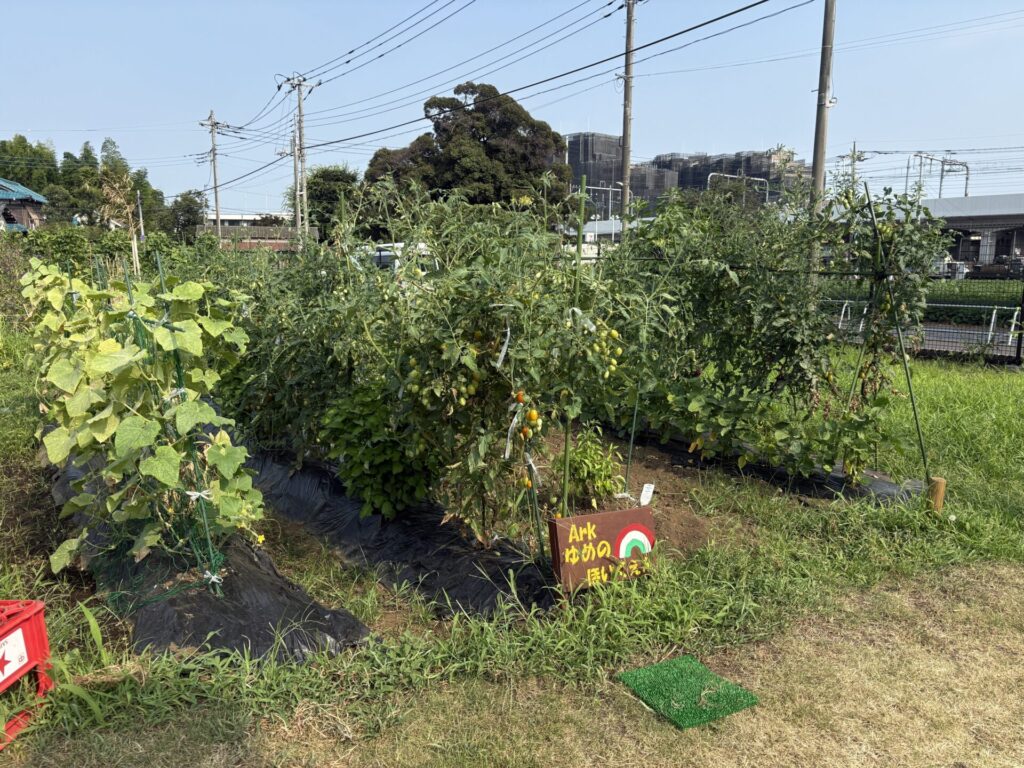 わくわく都民農園２