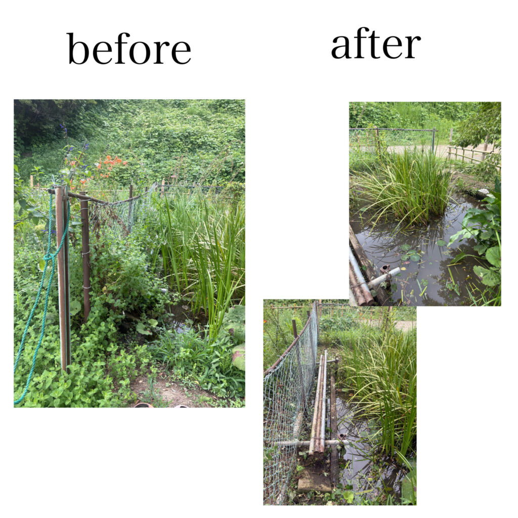 BEFOREAFTER