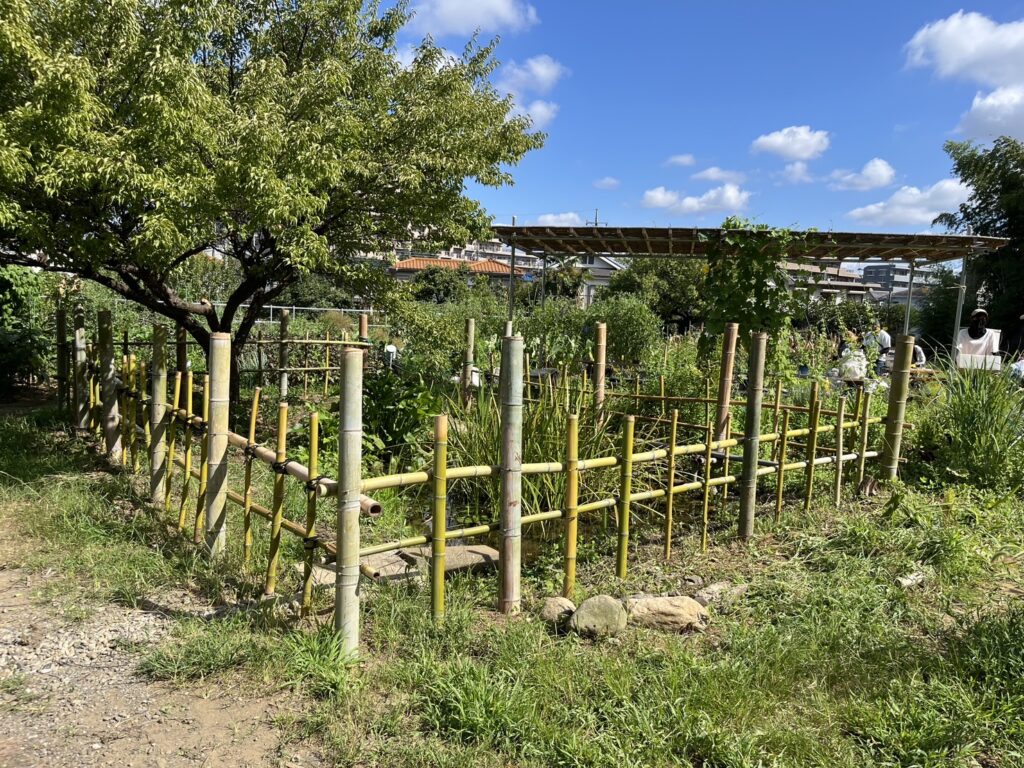 竹柵